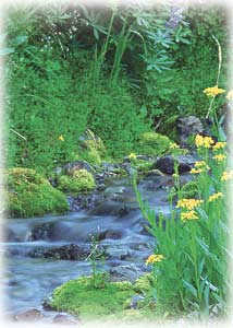 Ozon-Sauerstoff Behandlung